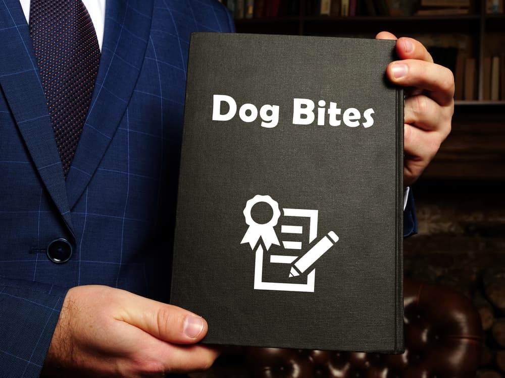 Florida Dog Bite Liability Laws