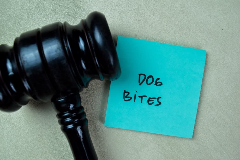 Litigating a Dog Bite Case in Florida 